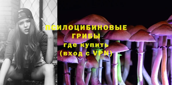 марки lsd Кодинск