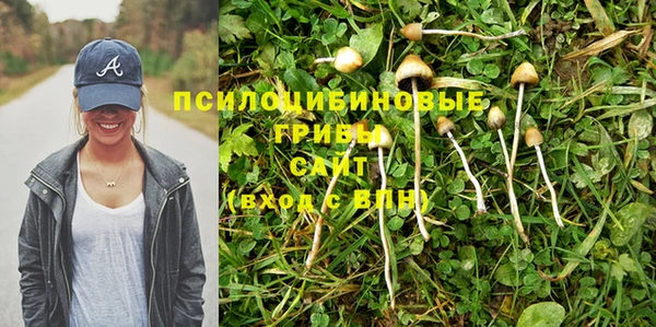 марки lsd Кодинск