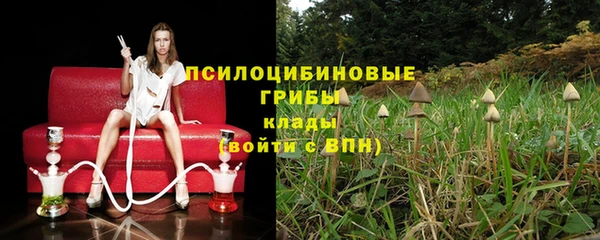 марки lsd Кодинск