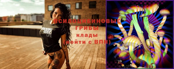 дживик Козловка