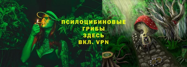дживик Козловка
